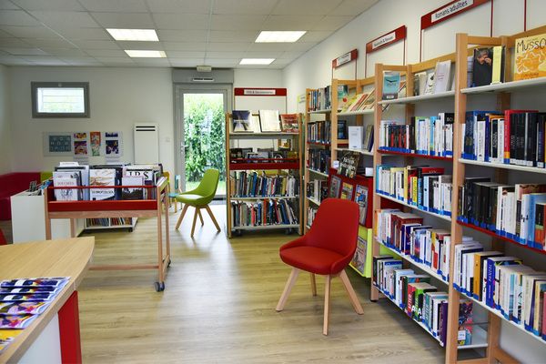 Bibliothèques - Lion d'Angers