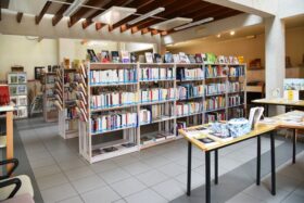 Bibliothèques - Lion d'Angers